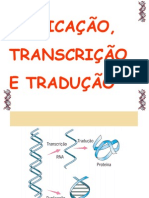 Replicação, Transcrição e Tradução