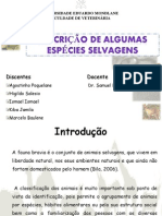 Descrição de Algumas Espécies de Mamíferos Selvagens