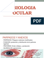 Fisiologia Ocular