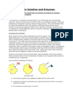 Enzymes Report Biology AS Core Practical Write Up Edexcel