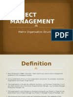 PROJECT MANAGEMENT - Matrix Organisation Structure