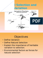 Natural Selection and Variation