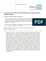 Role of Citicoline