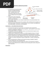 Muscle Contraction and Anaerobic Resp