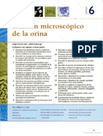 Examen General de Orina