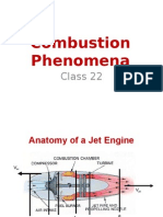 Combustion Phenomena