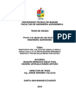 Respuesta Del Cultivo de Cebolla Perla Allium Cepa L A La Fertilizacion Organica Edafica y Foliar Bajo Riego Por Goteo