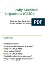 Genetically Modified Organisms Gmos