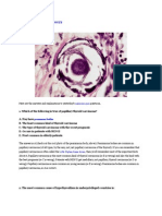 Endocrine Quiz Answers