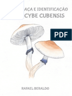 Guia de Caça e Identificação