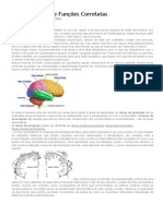 Áreas Cerebrais e Funções