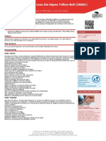 LSSYB Formation Lean Six Sigma Yellow Belt Iassc PDF