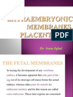 Extra Embryonic Membranes