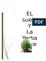 EL Suelo Y La Yerba Mate