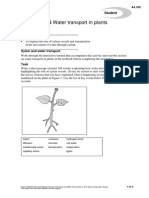 Water Transport in Plants