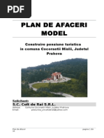 Plan de Afaceri Pensiune COLT de RAI