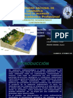 ESTRATIGRAFÍA Y SEDIMENTOLOGÍA Ambientes Sedimentarios Continentales