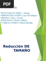 Diapositivas Reduccion de Tamaño 1