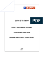 Dossiê Técnico