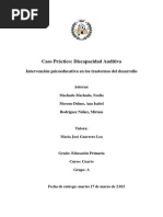 Caso Práctico. Discapacidad Auditiva