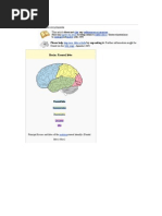 Frontal Lobe