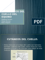 Derroteros Del Cuaello Del Equino Mejoraciones