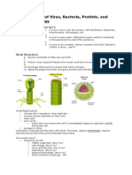 Classification of Virus, Bacteria, Protists, and Fungi S3 Biology