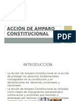 Acciòn de Amparo Constitucional