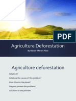 Agriculture Deforestation