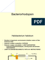 Bacteriorhodopsin