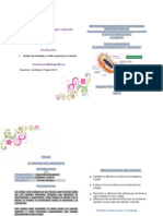 GUIA PEDAGOGICA Mitosis y Meiosis