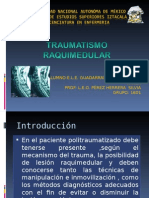 Traumatismo Raquimedular