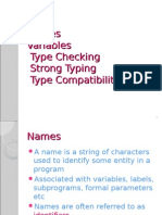 Names Variables Type Checking Strong Typing Type Compatibility