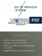 Histology of Nervous System: Dr. I Wayan Sugiritama, M.Kes Histology Department Medical Faculty of Udayana University