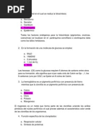 Repaso para Parcial de Biologia Vegetal (Preguntas)