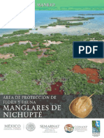 Manglares de Nichupté