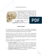 Anatomía y Generalidades Craneofaciales2