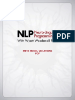 NLP Meta Model Violations