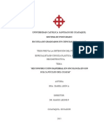 Reconstruccion Palpebral en Oncologia Ion Solca - Guayas 2007-2010 XXX