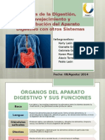 Fases de La Digestion