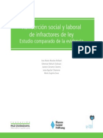 Estudio Comparado de La Evidencia en Reinsercion Social y Laboral