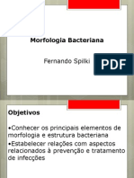 Morfologia Bacteriana