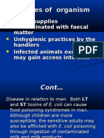 Milk Borne Infections 2