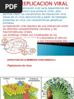 Replicacion Viral