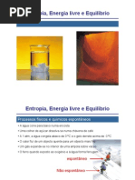 Entropia, Energia Livre e Equilibrio