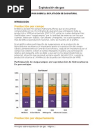 Principios Sobre La Explotación de Gas Natural