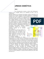 Diuresis Osmótica Fisio