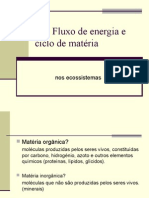 Fluxo de Energia e Ciclo de Matéria Nos Ecossistemas