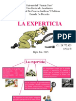 La Experticia