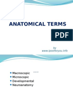 Anatomical Terms: by WWW - Ipostforyou.info